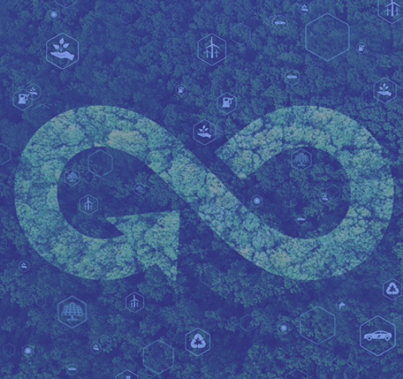 strucna platforma 2-min